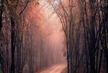 林依轮外甥女犀利点评：随舅真没毛病，揭秘娱乐圈家族传承之谜