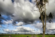 林依轮外甥女犀利点评：随舅真没毛病，揭秘娱乐圈家族传承之谜