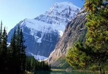 林依轮外甥女犀利点评：随舅真没毛病，揭秘娱乐圈家族传承之谜