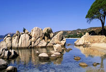 林依轮外甥女犀利点评：随舅真没毛病，揭秘娱乐圈家族传承之谜